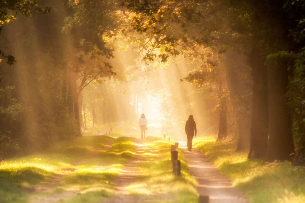 Wat een wandeling doet met je stressniveau