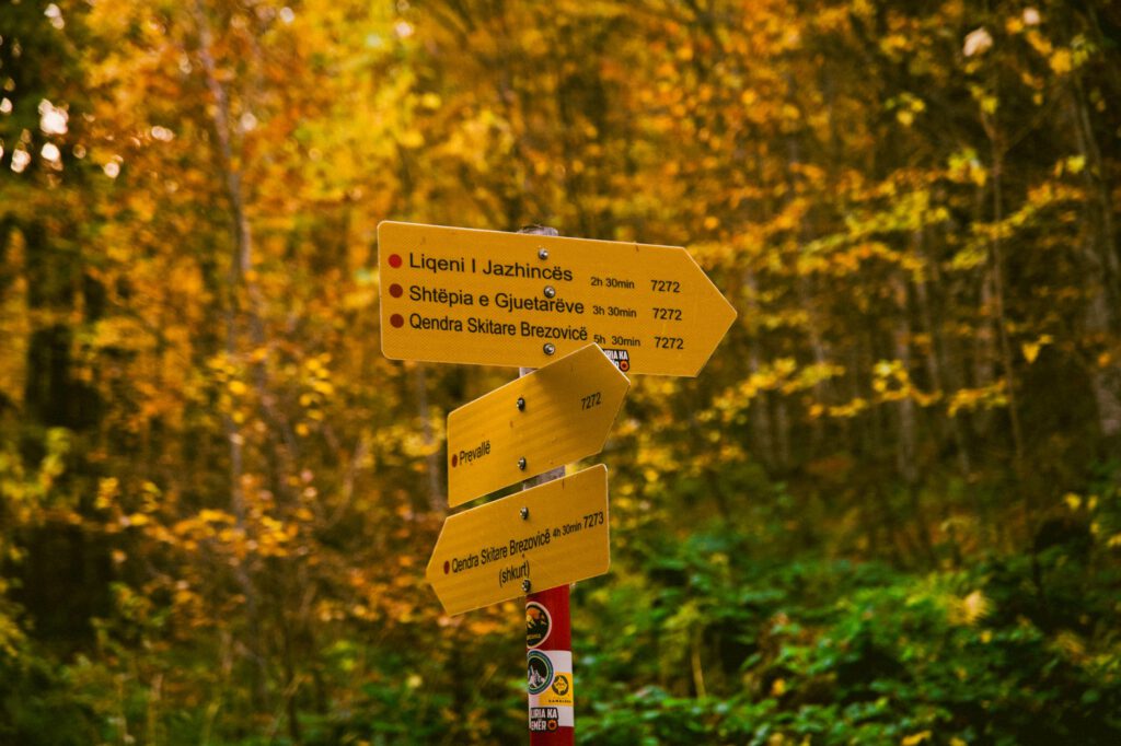 Wandelcoaching bij een loopbaanvraag