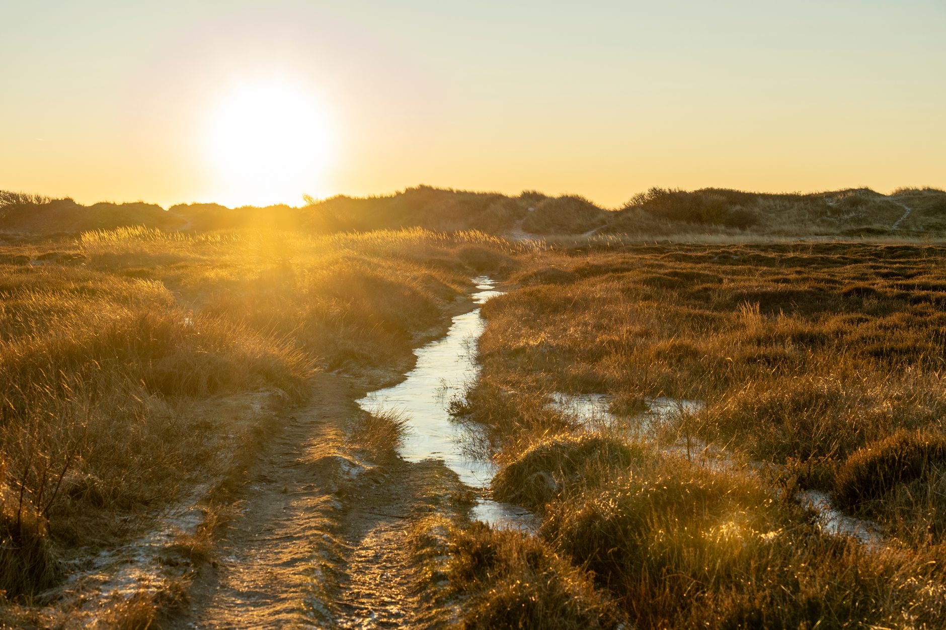 Pad door een weiland in warm avondlicht